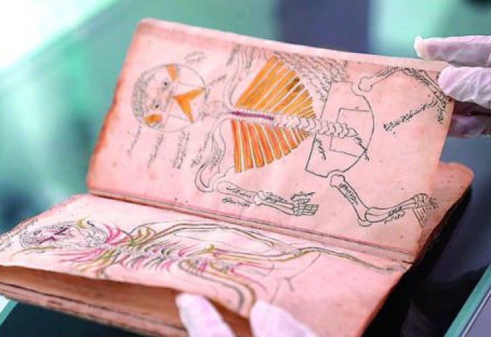 Леонардо да Винчидің анатомиясынан бұрын хатқа түскен ислами медициналық кітап табылды