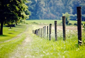 Кім осы он аятқа амал жасаса, пейішке кіреді!