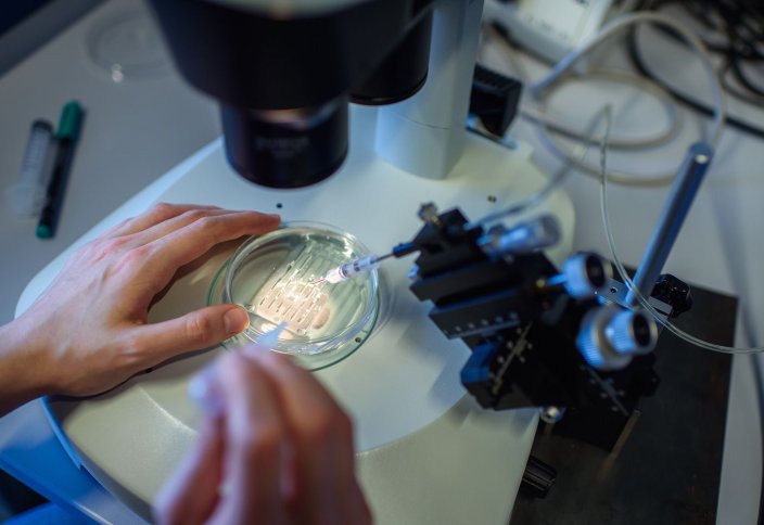 CRISPR гендік редакторының жаңа түрі көру қабілетін қалпына келтірді