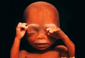 Қас туралы шындық: Алла Елшісінің (ﷺ) тағы бір хадисі расталды