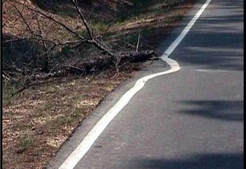 Әлемдегі ең жалқау ел анықталды