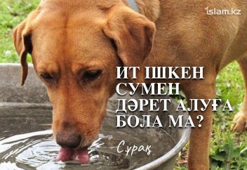 Ит ішкен сумен дәрет алуға бола ма?
