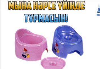 Мына нәрсе үйіңде тұрмасын