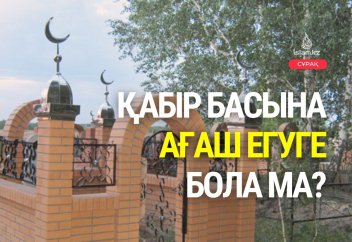 Қабір басына ағаш егуге бола ма?