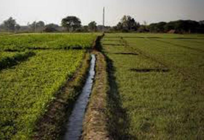 Департамент лесного хозяйства Пенджаба начинает использовать технологию гидропосева на бесплодных землях