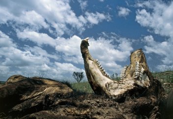 Последний вздох. Ученые назвали срок гибели всего живого на Земле. Как именно это произойдет?