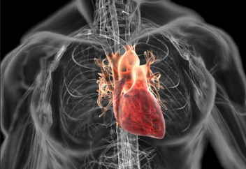 Орынын тапқан оңалар