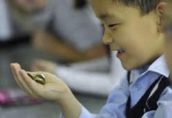 Ақша жинаған мұғалімдер туралы WhatsApp арқылы хабарлауға болады