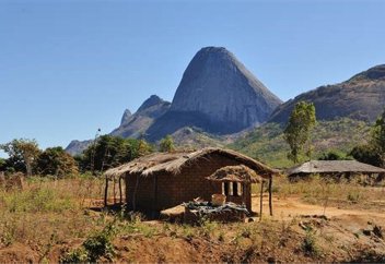 Четыре миллиона голов крупного рогатого скота, 50 000 жизней погибли в результате насилия на севере