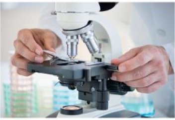 Шедевры под микроскопом создаёт умелец из Балхаша (видео)