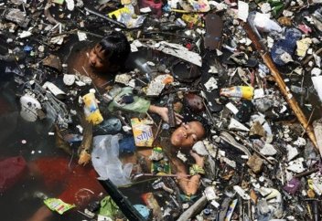 Пластик есть в каждой четвёртой рыбе с базара