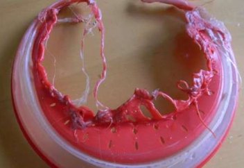 Адамзатты пластиктен «құтқаратын» бактерия ойлап табылды