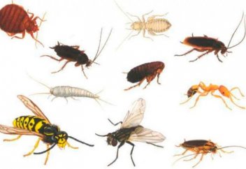 Ең зиянкес бес жәндік аталды