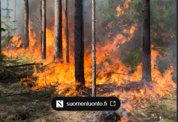 Жыл сайын өрттен бес миллиард тонна топырақ жарамсыз күйге түседі