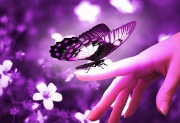 Жігіттердің қыздар жайлы қызық ойлар