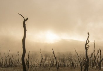 Девять точек невозврата на пути к климатической катастрофе, которые мы уже прошли