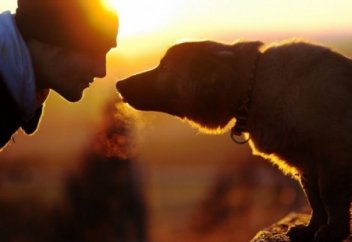 Дәрігерлер: Иттен жұғатын аурулар мүгедектіктен адам өліміне дейін апаруы мүмкін