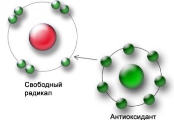 Бороться с исламскими радикалами научат российских военных