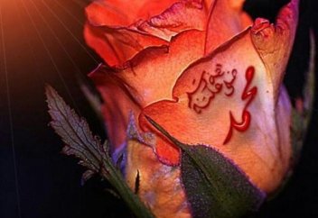 Сіз Пайғамбарымыздың (с.а.с.) туылған күніне қандай сыйлық әзірледіңіз?