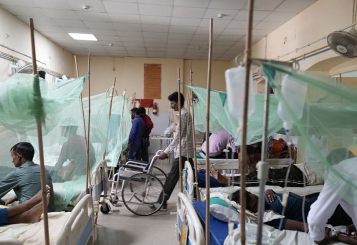 В Бангладеш около 800 человек погибли от лихорадки денге