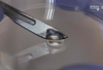 Бактерияны өлтіретін, өздігінен қалпына келетін, вирустан жасалған гель (видео)