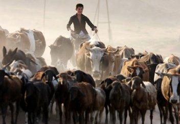 Разные: Казахстан на 55 месте из 61 по борьбе с изменениями климата