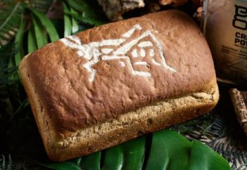 Болашақта жәндік адамзаттың негізгі қорегіне айналады