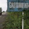 В Казахстане паводки создали угрозу распространения сибирской язвы