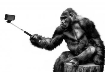 Ученые рассказали, когда страсть к селфи становится болезнью
