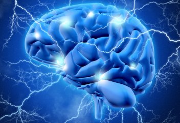 Ми жасушаларын қашықтан белсендіру тәсілі табылды  - инсульт немесе эпилепсияны емдеу әдісі