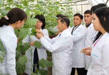 Таразда инновациялық идеялар байқауы мәреге жетті