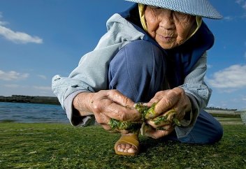 Бір ғана елде жасы 100-ден асқан қарттар қарасы 86 мыңнан асып кетті