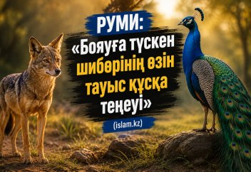 РУМИ: «Бояуға түскен шибөрінің өзін тауыс құсына теңеуі»