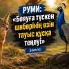 РУМИ: «Бояуға түскен шибөрінің өзін тауыс құсына теңеуі»