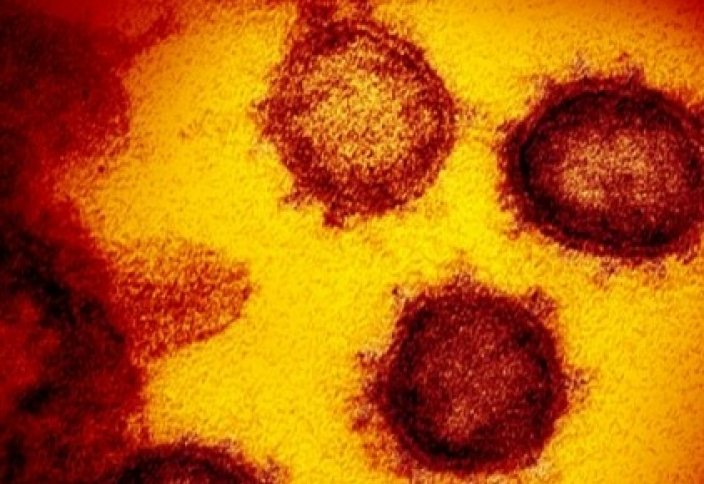 Мольба от болезней, в том числе от коронавируса.