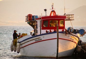 Золотой шанс покончить с деструктивным субсидированием рыболовства. Как распределяются квоты на рыбные хозяйства в Казахстане