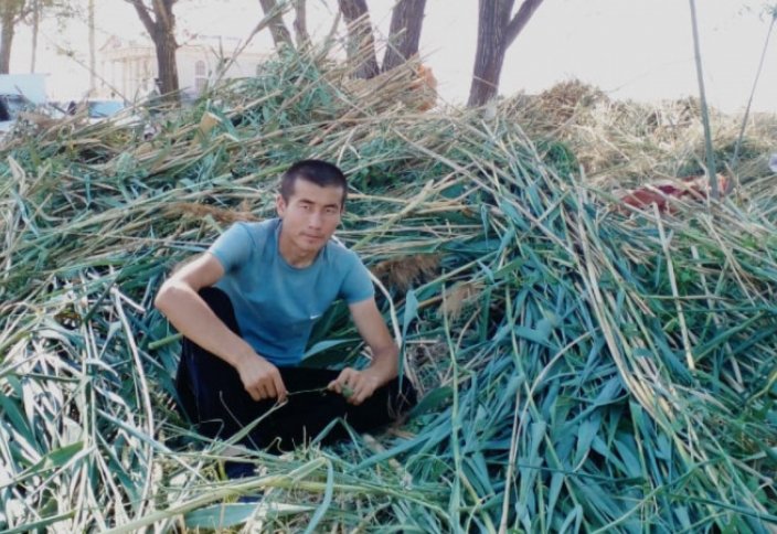 Парня из Шымкента, поставлявшего корма в засушливые регионы, бесплатно приняли в вуз