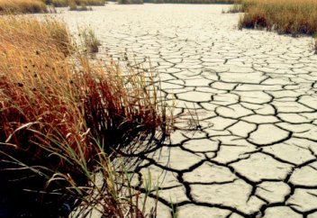 Испаниядағы егістік алқаптарының 60% -ы жаз басталмай жатып құрғақшылықтан зардап шекті