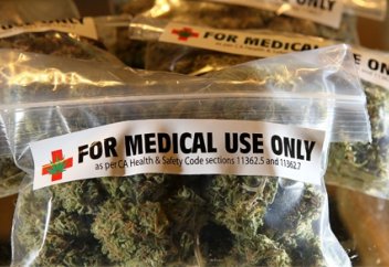 Власти Германии разрешили марихуану в медицинских целях