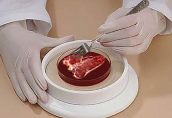 Бес жылдан кейін адамдар жасанды ет жеуге көшеді