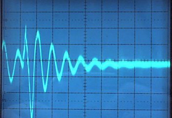 Мусульманские лидеры Шотландии отстаивают жизнь