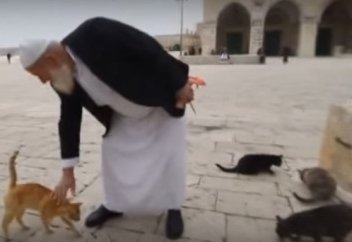 ӘбуХурайра (р.а.) ізімен (ВИДЕО)