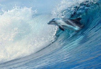 «Только что умер мой друг и я не знаю что мне делать»