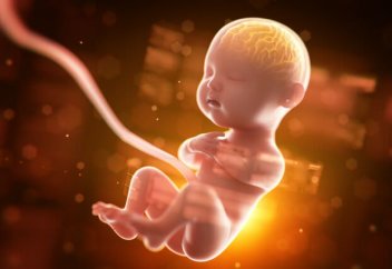 Al-Jazeera (Катар): эмбриология и научные чудеса в священном Коране