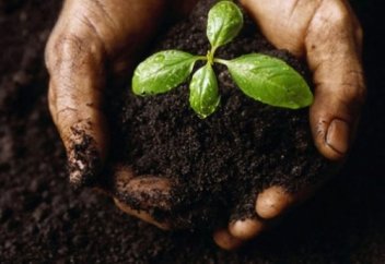 Пайғамбардың (с.ғ.с.) топырақ туралы хадисі ғалымдар тарапынан дәлелденіп елді таңғалдырды