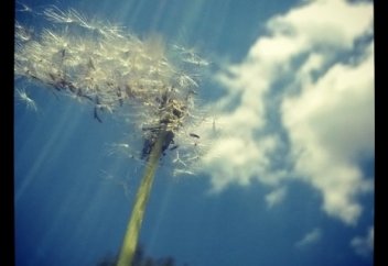 Имансыз адам "мәңгіні" іздеп, сенделер