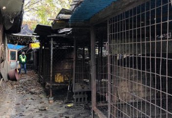 Әлемдегі ең ірі харам қасапханалардың бірі жабылды