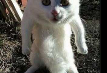 Selfie-этика, или «Когда снимать не надо»!