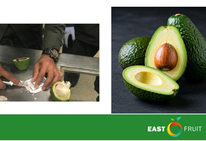 Мексиканскую индустрию авокадо давят наркокартели: как это влияет на мировые цены