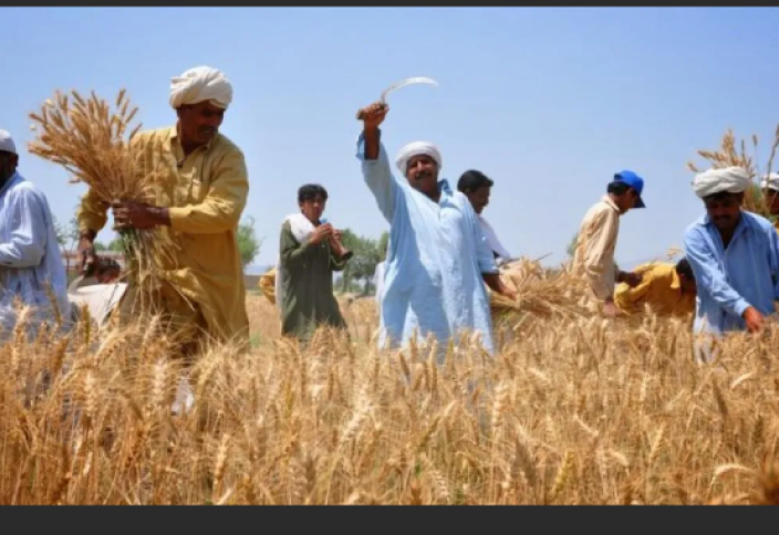 Пәкістан араб еліне жұмысшылар экспорттайды